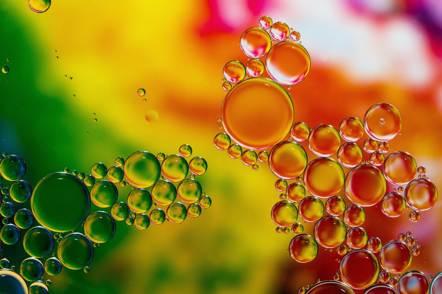 I Colori dell’olio di Oliva